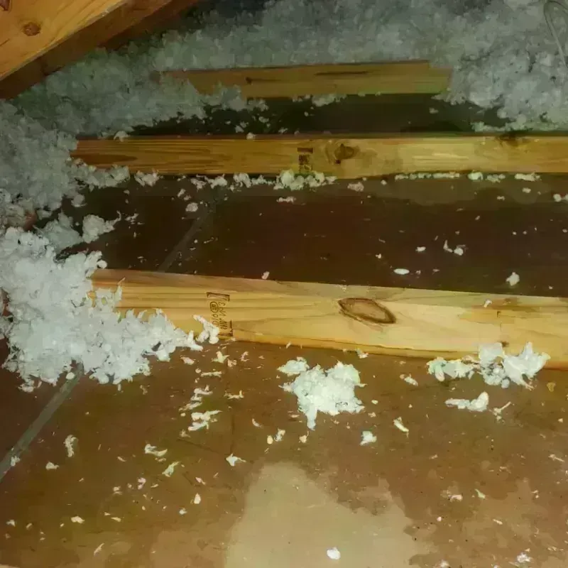 Attic Water Damage in Centerton, AR