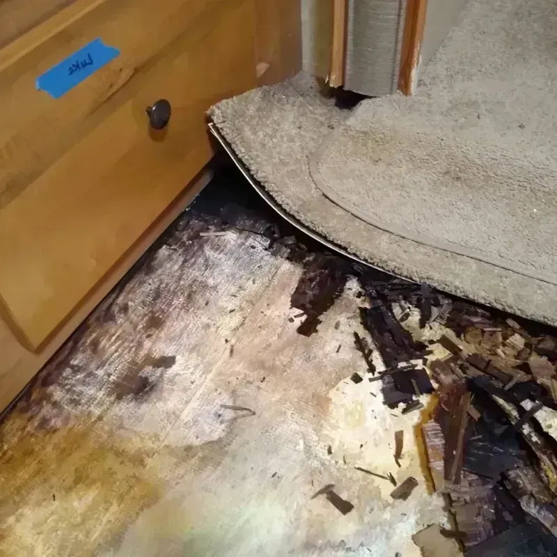 Best Wood Floor Water Damage Service in Centerton, AR